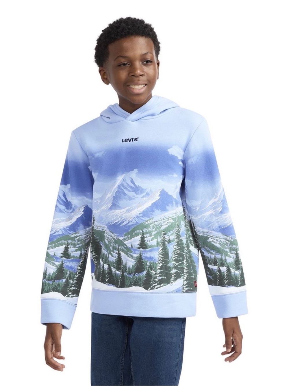 Levi's Blue Mountain Landscape Hoodie